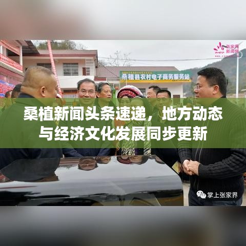 桑植新闻头条速递，地方动态与经济文化发展同步更新