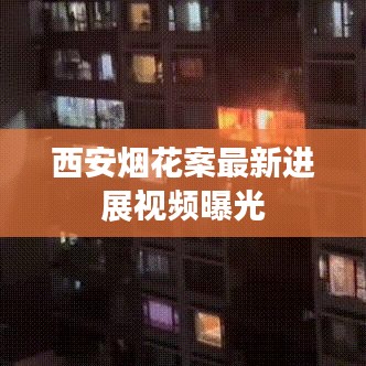 西安烟花案最新进展视频曝光