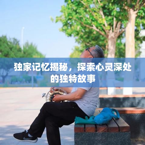 独家记忆揭秘,探索心灵深处的独特故事