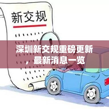 深圳新交规重磅更新，最新消息一览