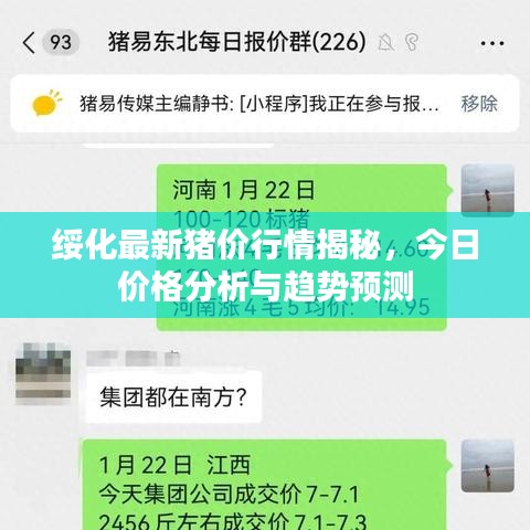 绥化最新猪价行情揭秘，今日价格分析与趋势预测