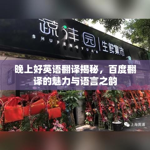晚上好英语翻译揭秘，百度翻译的魅力与语言之韵