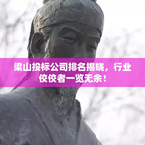 梁山投标公司排名揭晓，行业佼佼者一览无余！