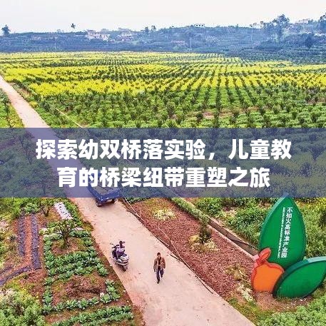 探索幼双桥落实验，儿童教育的桥梁纽带重塑之旅