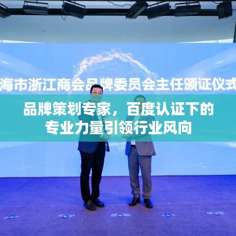 品牌策划专家，百度认证下的专业力量引领行业风向