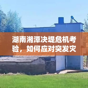 淡妆浓抹 第6页