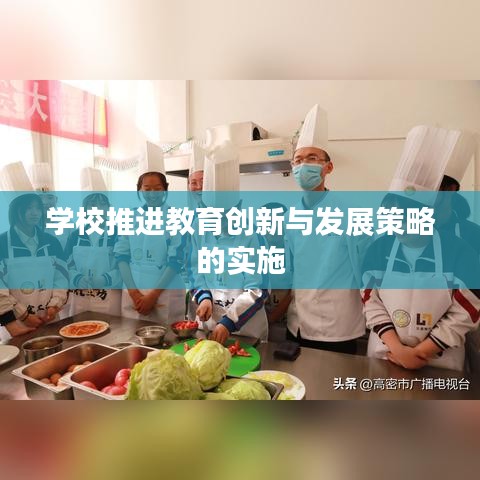 学校推进教育创新与发展策略的实施