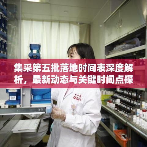 集采第五批落地时间表深度解析,最新动态与关键时间点探讨