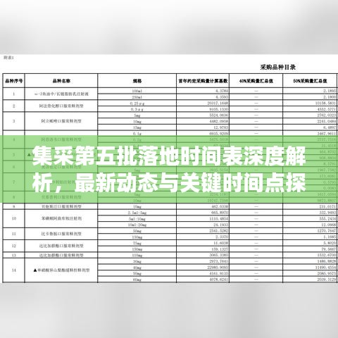 集采第五批落地时间表深度解析,最新动态与关键时间点探讨