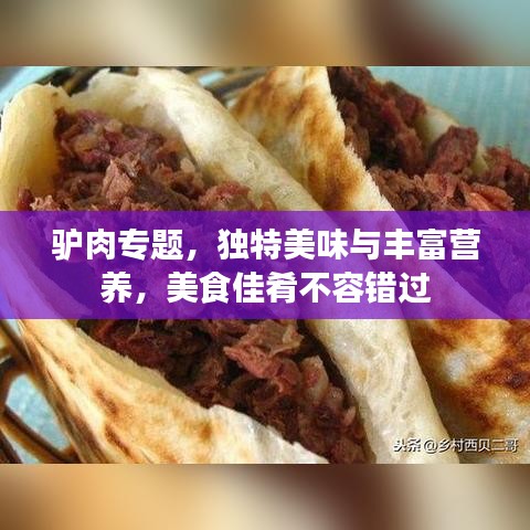 驴肉专题,独特美味与丰富营养,美食佳肴不容错过