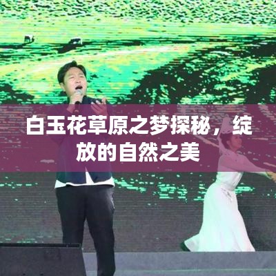 白金岛官方大厅下载或万赢棋牌全部版本,权威诠释方法-挑战款_v10.630