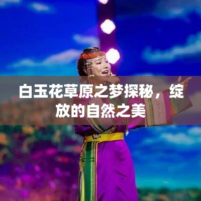 白玉花草原之梦探秘,绽放的自然之美