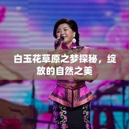 白玉花草原之梦探秘,绽放的自然之美