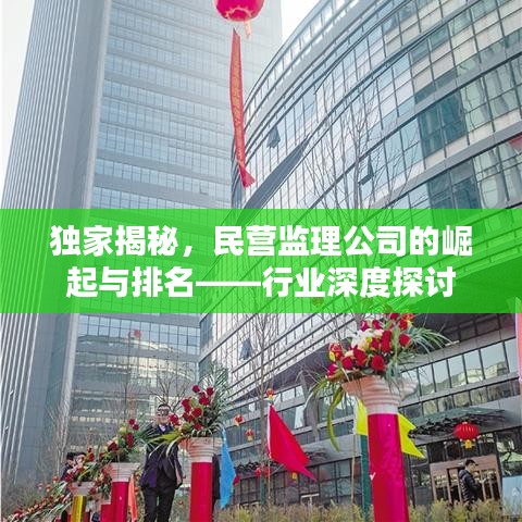 独家揭秘，民营监理公司的崛起与排名——行业深度探讨