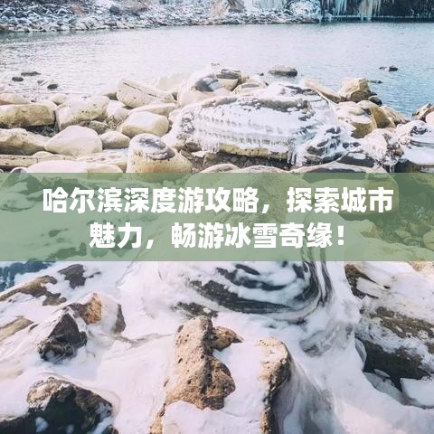 贵不可言 第8页