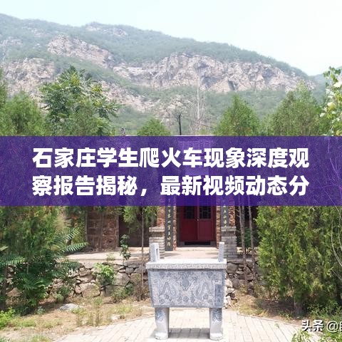 石家庄学生爬火车现象深度观察报告揭秘,最新视频动态分析