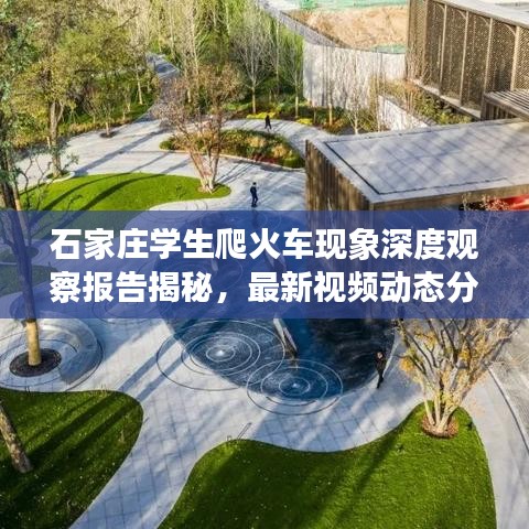 系统工具软件天天梭哈单机版跟mpp官方下载，稳定设计解析_战略版_v3.152，全面系统优化与安全稳定的最佳选择