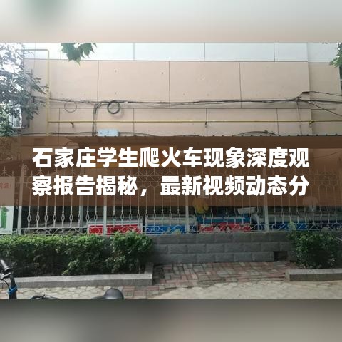 石家庄学生爬火车现象深度观察报告揭秘,最新视频动态分析