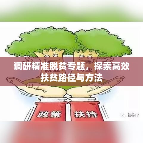 调研精准脱贫专题,探索高效扶贫路径与方法