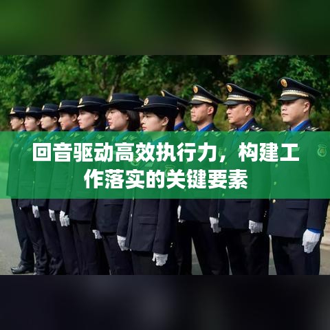 回音驱动高效执行力，构建工作落实的关键要素