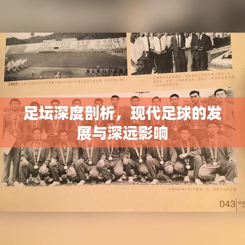 足坛深度剖析,现代足球的发展与深远影响