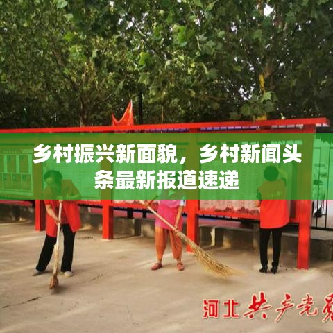 乡村振兴新面貌，乡村新闻头条最新报道速递