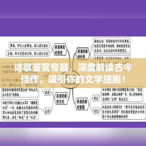 诗歌鉴赏专题,深度解读古今佳作,吸引你的文学细胞!