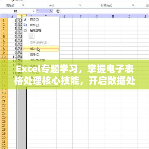 Excel专题学习，掌握电子表格处理核心技能，开启数据处理新时代