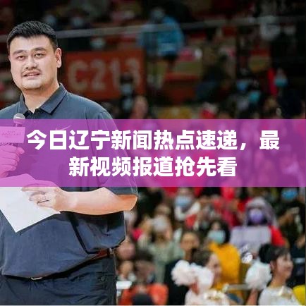 今日辽宁新闻热点速递，最新视频报道抢先看