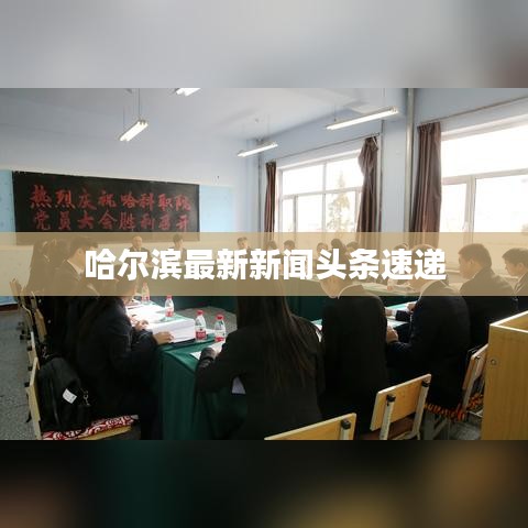 哈尔滨最新新闻头条速递