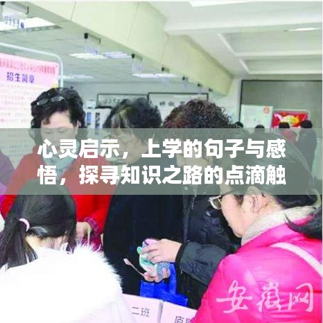 心灵启示,上学的句子与感悟,探寻知识之路的点滴触动心灵