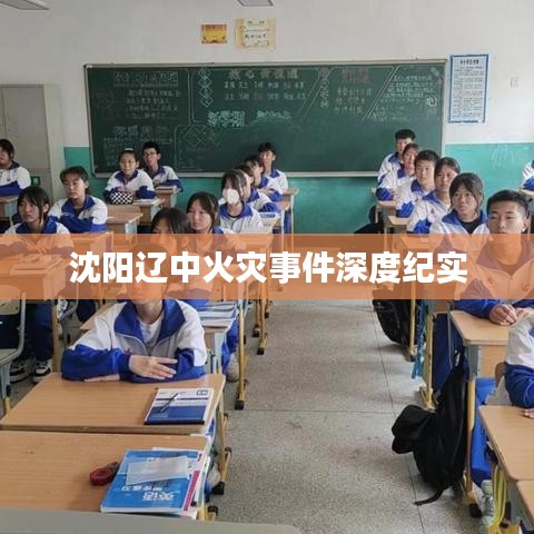 优酷版本,可靠解答解释定义 HD_v6.496