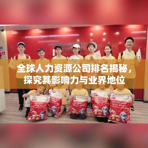 全球人力资源公司排名揭秘,探究其影响力与业界地位