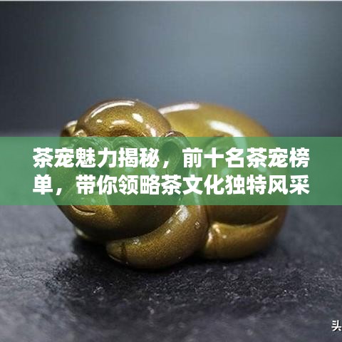 茶宠魅力揭秘，前十名茶宠榜单，带你领略茶文化独特风采