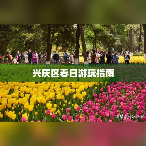 兴庆区春日游玩指南