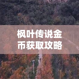 枫叶传说金币获取攻略大揭秘！