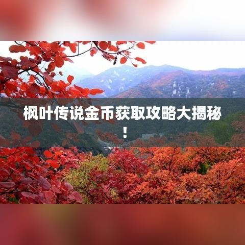 枫叶传说金币获取攻略大揭秘!