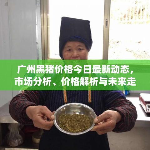 广州黑猪价格今日最新动态,市场分析、价格解析与未来走势预测