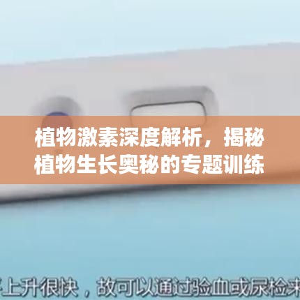 植物激素深度解析,揭秘植物生长奥秘的专题训练