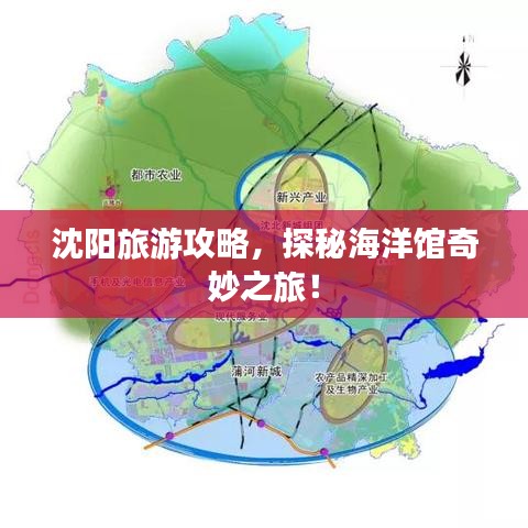 沈阳旅游攻略，探秘海洋馆奇妙之旅！