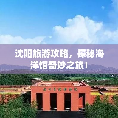 沈阳旅游攻略,探秘海洋馆奇妙之旅!