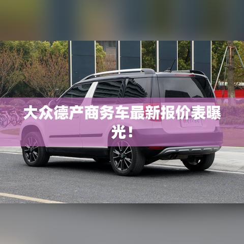 大众德产商务车最新报价表曝光！