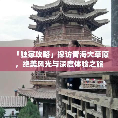 「独家攻略」探访青海大草原，绝美风光与深度体验之旅