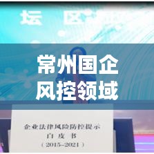 常州国企风控领域招聘热浪来袭,最新招聘信息全解析