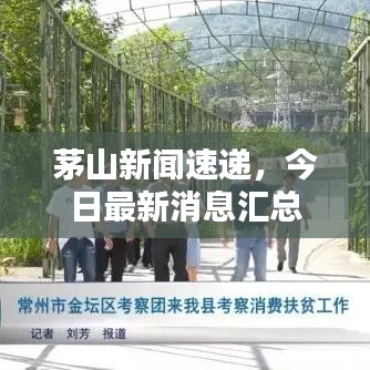 茅山新闻速递，今日最新消息汇总