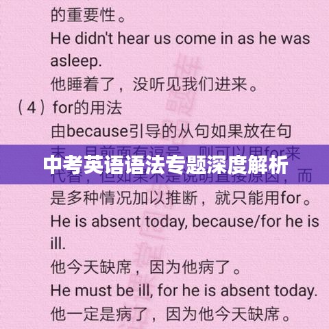 中考英语语法专题深度解析