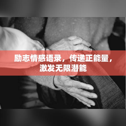 励志情感语录，传递正能量，激发无限潜能