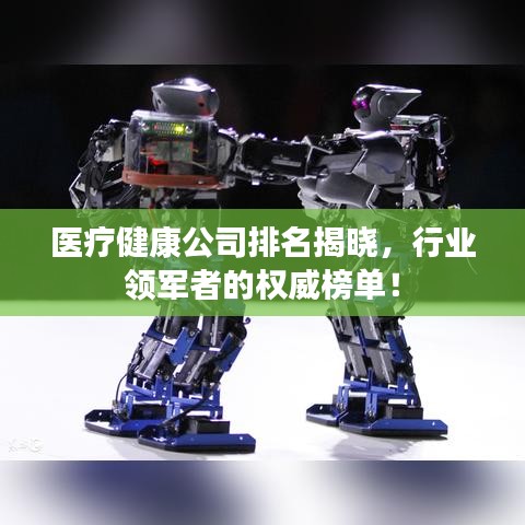 医疗健康公司排名揭晓,行业领军者的权威榜单!
