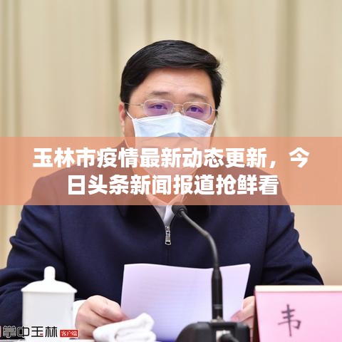 环球棋牌官方下载,定性解答解释定义 复古版_v9.193