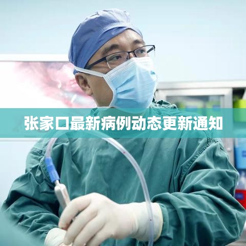 张家口最新病例动态更新通知